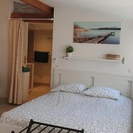 Petite Etoile De Mer: Beachfront With Terrace *